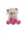 Oso De Peluche Pequeño