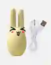 Vibrador Rabbit / Recargable