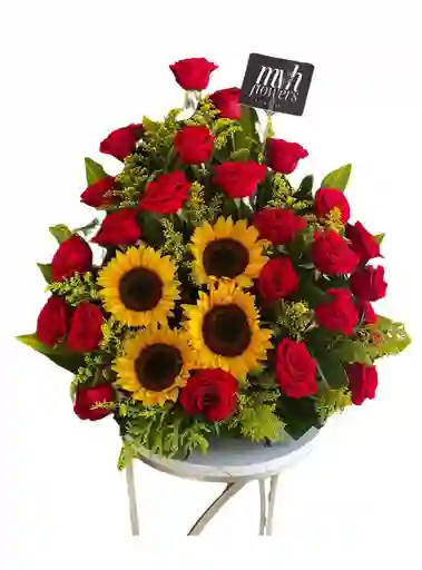Luminosidad Floral