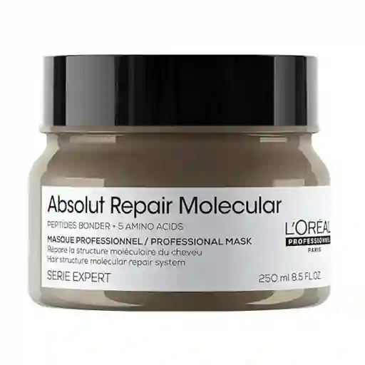 Loreal Serie Expert Absolut Repair Molecular Mask 300ml