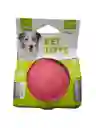 Pelota Masticable (colores Surtidos)