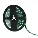 Led Strip 60l 5mtr