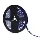 Led Strip 60l 5mtr