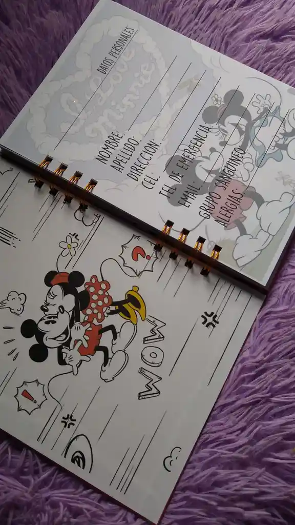 Libreta Mickey Y Minnie