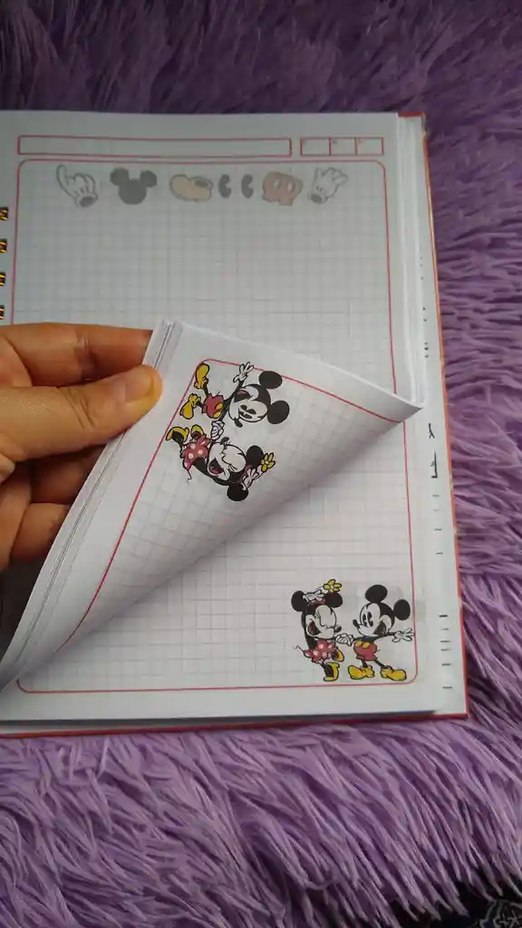 Libreta Mickey Y Minnie