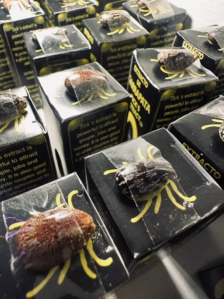 Extracto De Garrapata