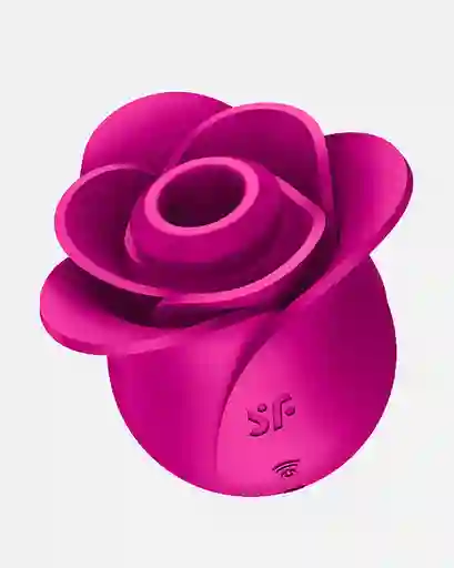 Succionador Satisfyer Classic Blossom Rosa / Recargable