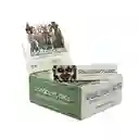 Papeles - Cueros Lion Rolling Circus Alfalfa