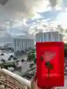 Rosa Emergencia De Amor