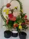 Acondicionador De Cebolla Roja, Macadamia Y Almendras