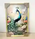 Cuadro De Pavo Real