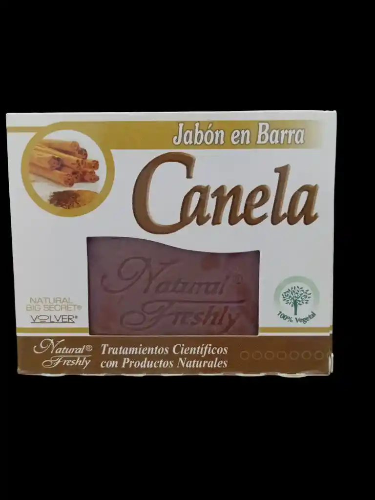 Jabon En Barra De Canela X 90 Gms Natural Freshly