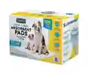 Tapete Absorbente Para Perros X 100 Uds 65 X 75 Cm Pañales Para Perros Pañales Para Mascotas Pañales Perros