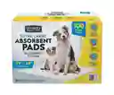 Tapete Absorbente Para Perros X 100 Uds 65 X 75 Cm Pañales Para Perros Pañales Para Mascotas Pañales Perros