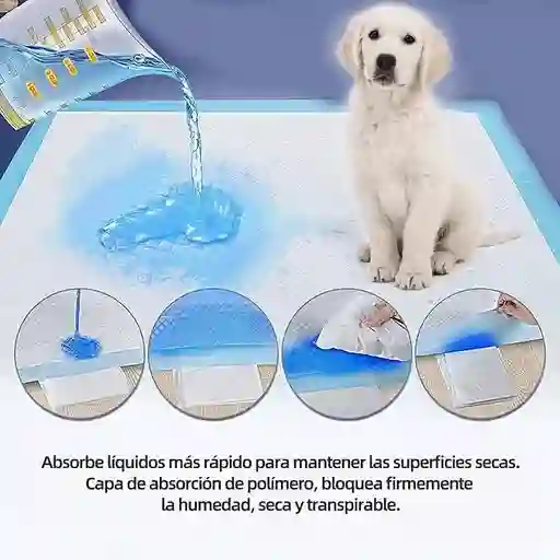 Tapetes Absorbentes Para Perros X 50 Uds 65 X 75 Cm Pañales Para Perros Pañales Para Mascotas Tapete Para Perro Tipo Petys