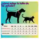 Ropa De Halloween Para Mascotas Talla Xl