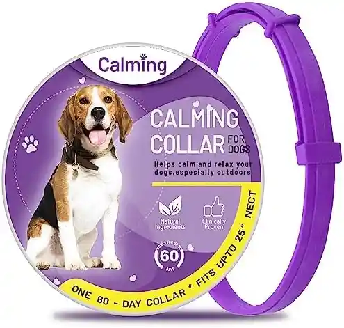 Calming Collar Dog