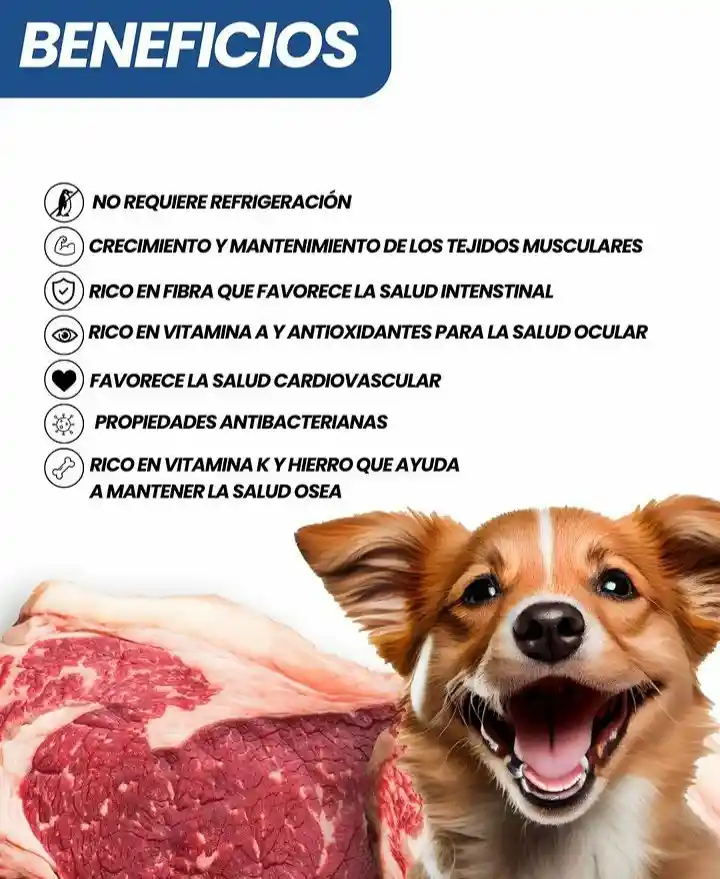 Dieta Barf Para Perros De Carne 500 Gr Alimento Barf Para Mascotas Liofilizado 500 Gr