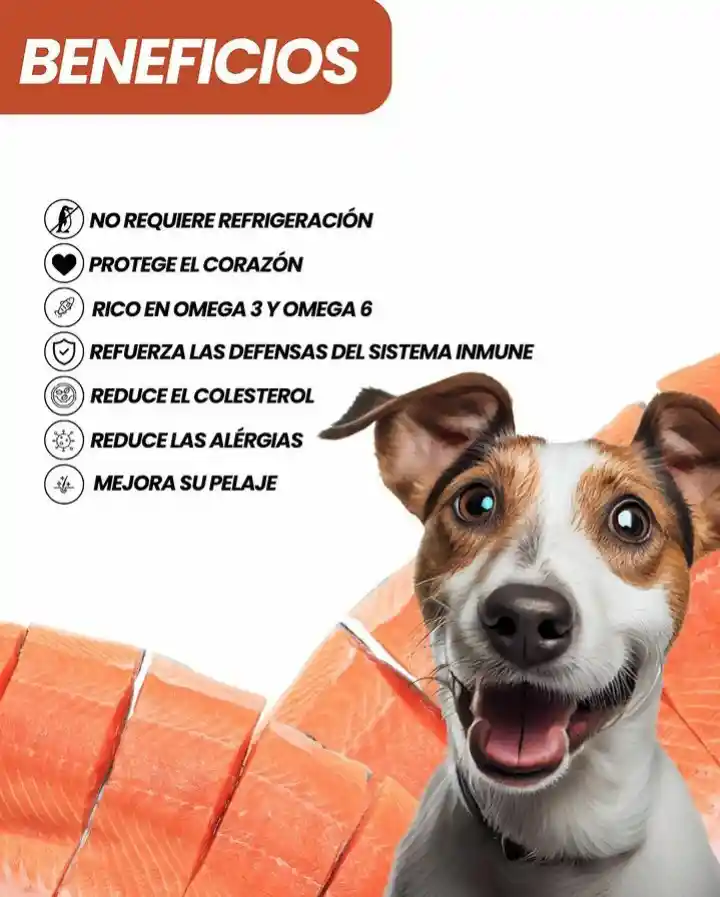 Dieta Barf Para Perros De Salmon 500 Gr Alimento Barf Para Mascotas Liofilizado 500 Gr