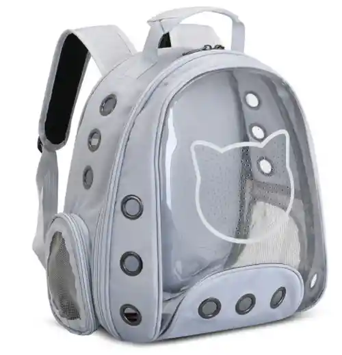 Morral Transparente Cara De Gato Gris-pb12e