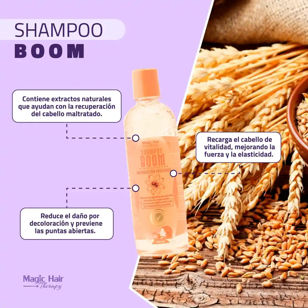 Shampoo Reparacion Profunda