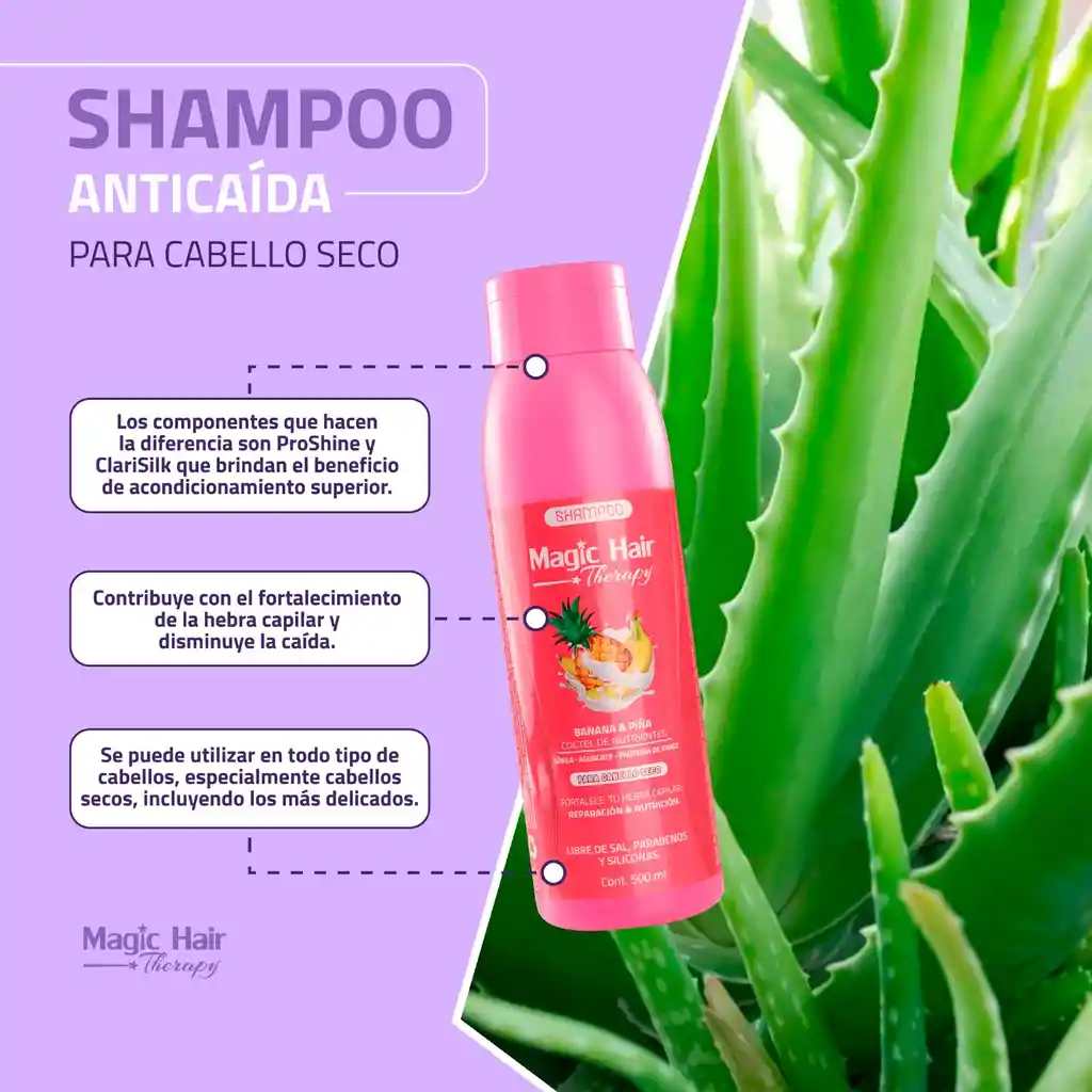 Shampoo Anticaída Para Cabello Seco (banana Y Piña)