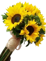 Bouquet De 10 Girasoles