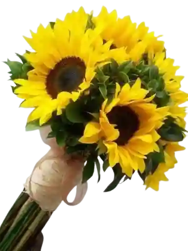 Bouquet De 10 Girasoles