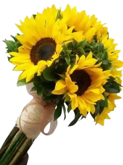 Bouquet De 10 Girasoles