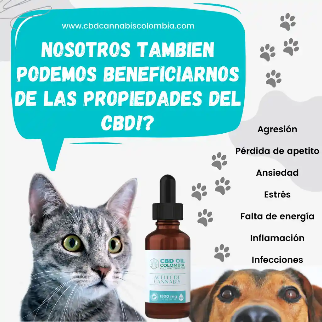 Aceite Cbd 2% Mascotas Pets