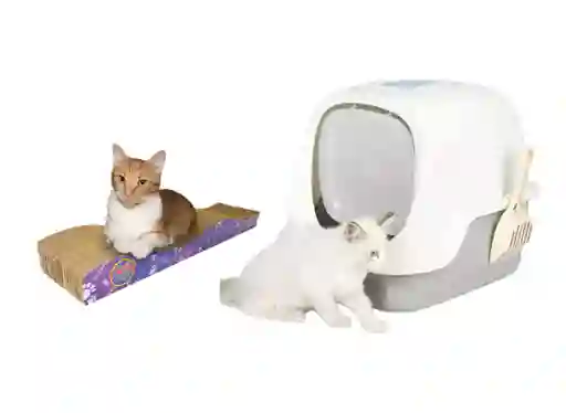 Baño Arenero Con Filtro Más Rascador Ondas Gris