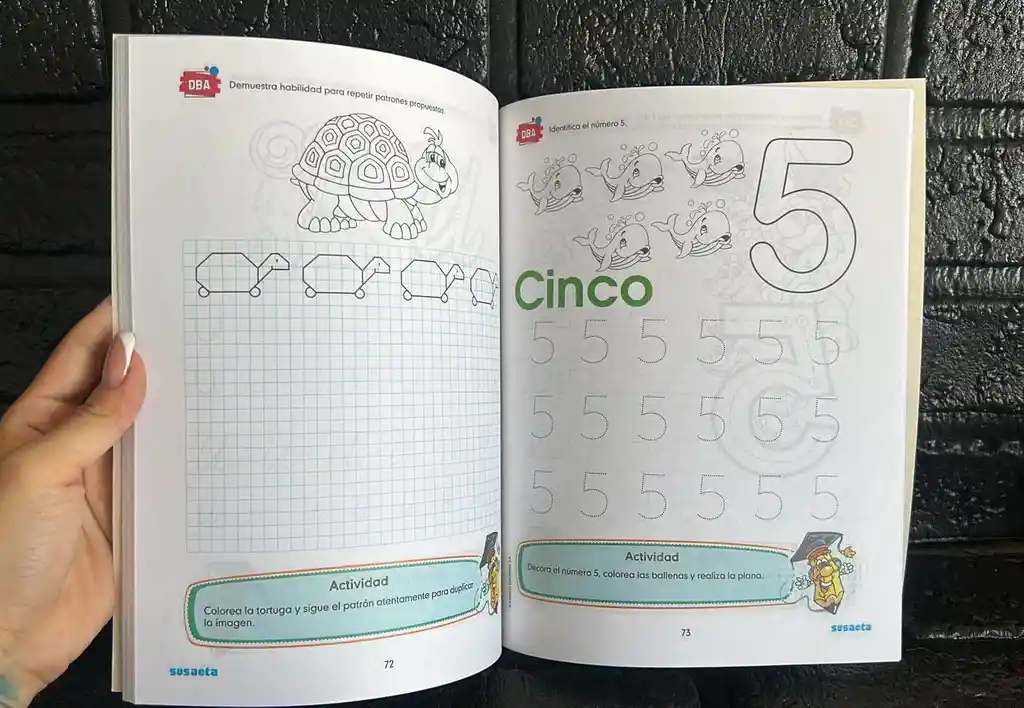 Libro Cartilla Nacho Regletas C