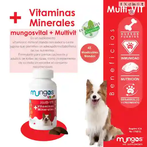 Mungos Vital + Multivit Dog 45 Und