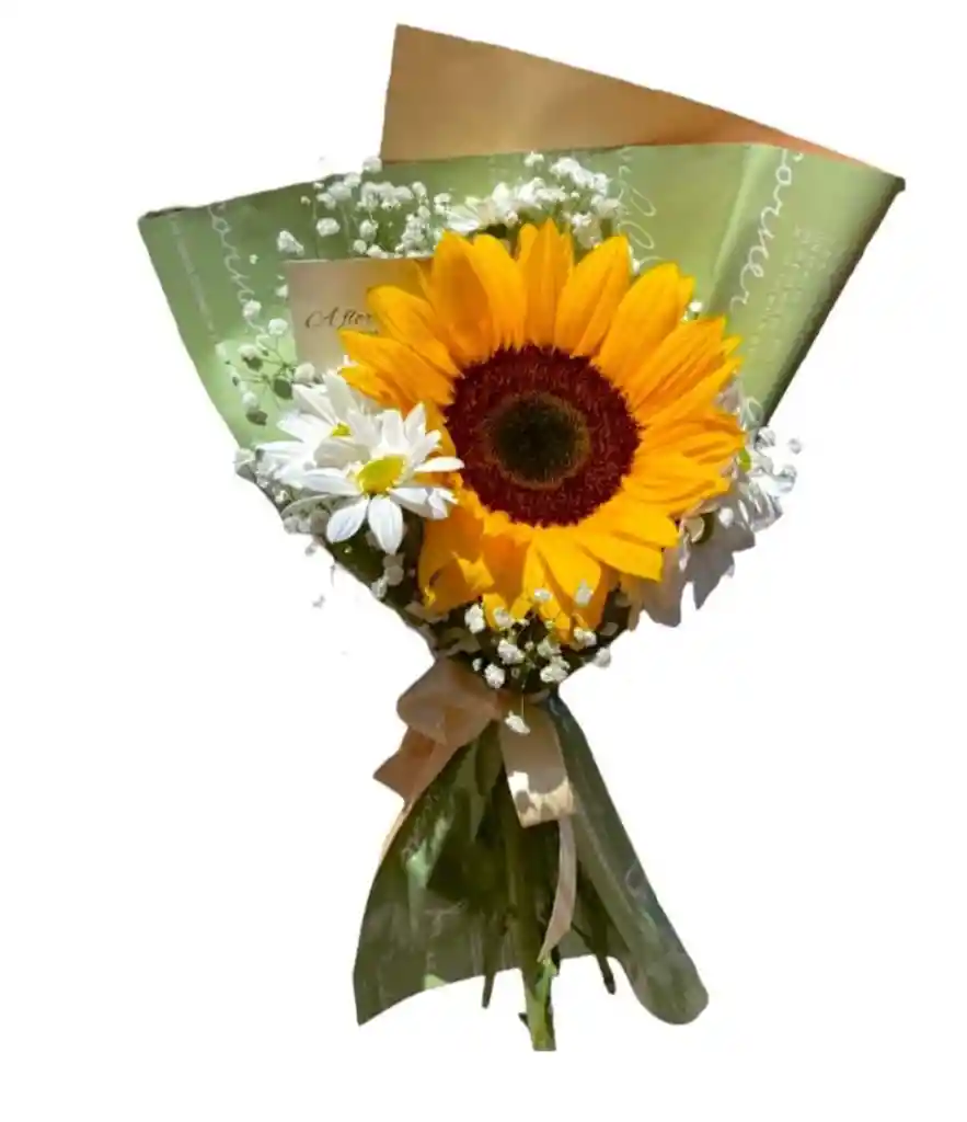 Girasol Solitario