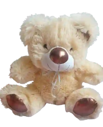 Peluche Oso