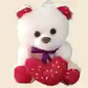 Oso De Peluche