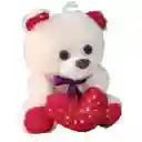 Oso De Peluche