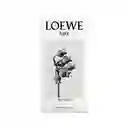 Loewe Aire Sutileza Edt 100 Ml