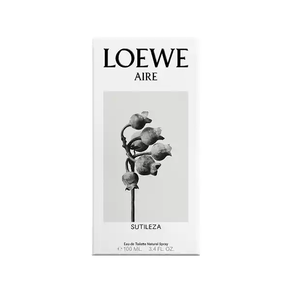 Loewe Aire Sutileza Edt 100 Ml