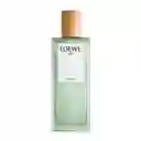 Loewe Aire Sutileza Edt 100 Ml