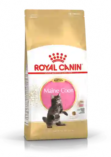 Concentrado Royal Canin Kitten Maine Coon 2kg