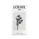 Loewe A Mi Aire Edt 100 Ml