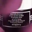 Bálsamo Hidratante Sisley Baume-en-eau À La Rose Noire Hidratante En Agua 50 Ml