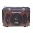 Radio Abuelo Am Fm Parlante Usb Retro Recargable Beck Play R-043bt