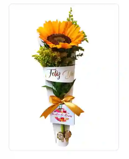 Girasol To-go
