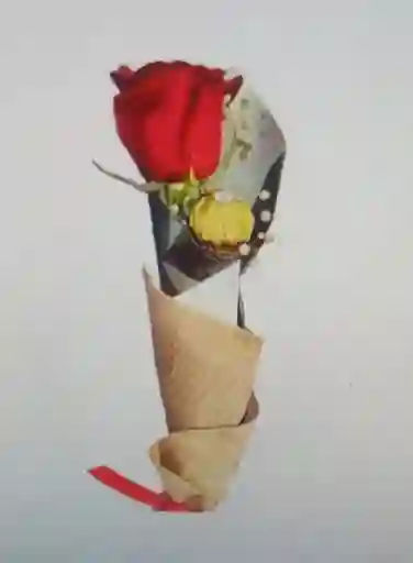 Rosa Amor