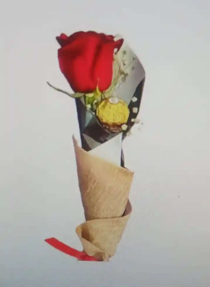 Rosa Amor