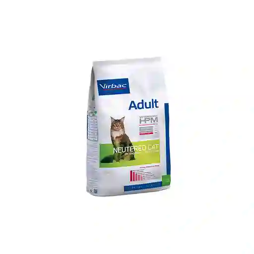 Adulto Cat Neutered 3k