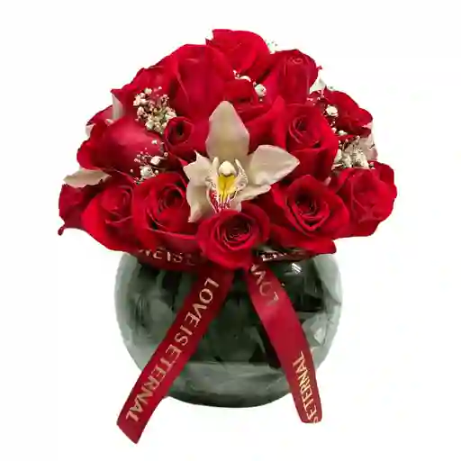 Flores Amor Encanto Rojo