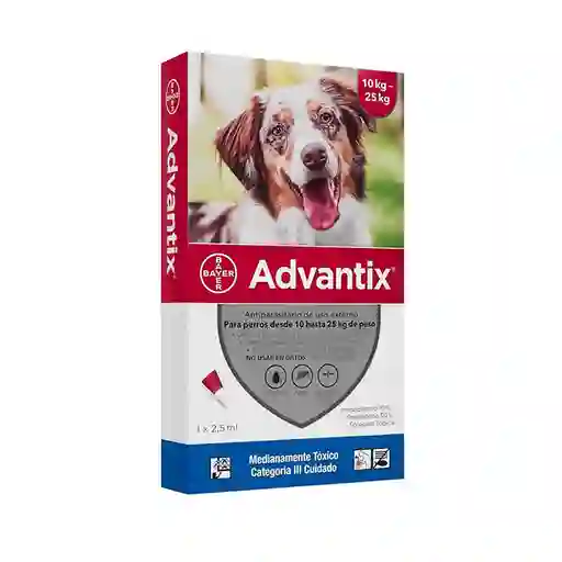 Advantix Perro 10-25kg